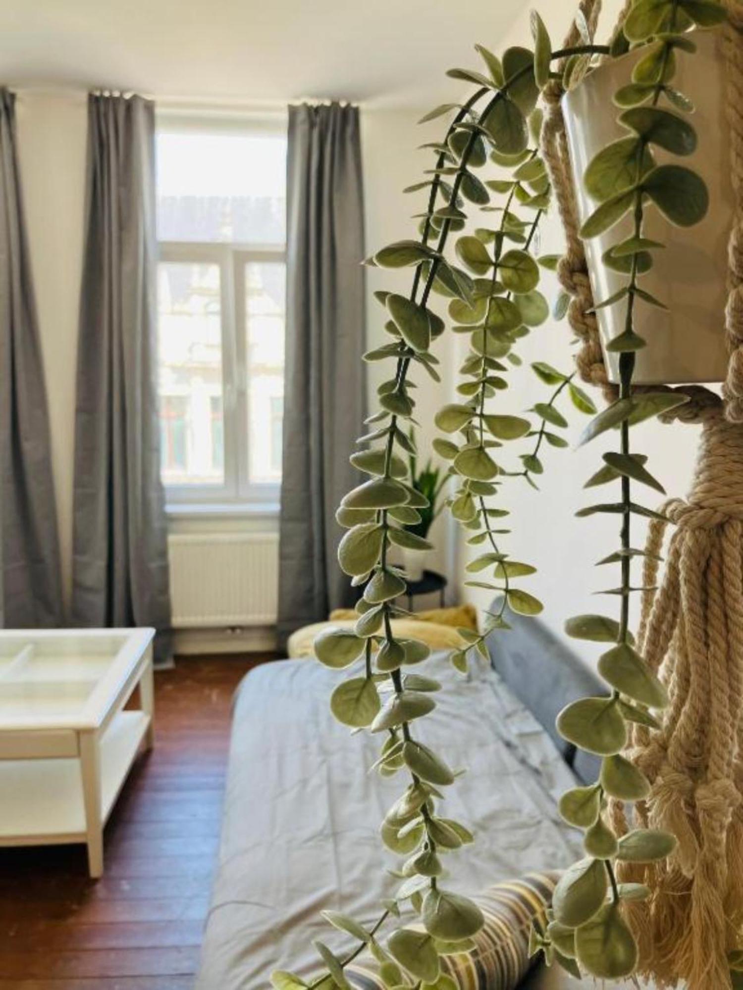 Bnb Suikernest Anvers Extérieur photo