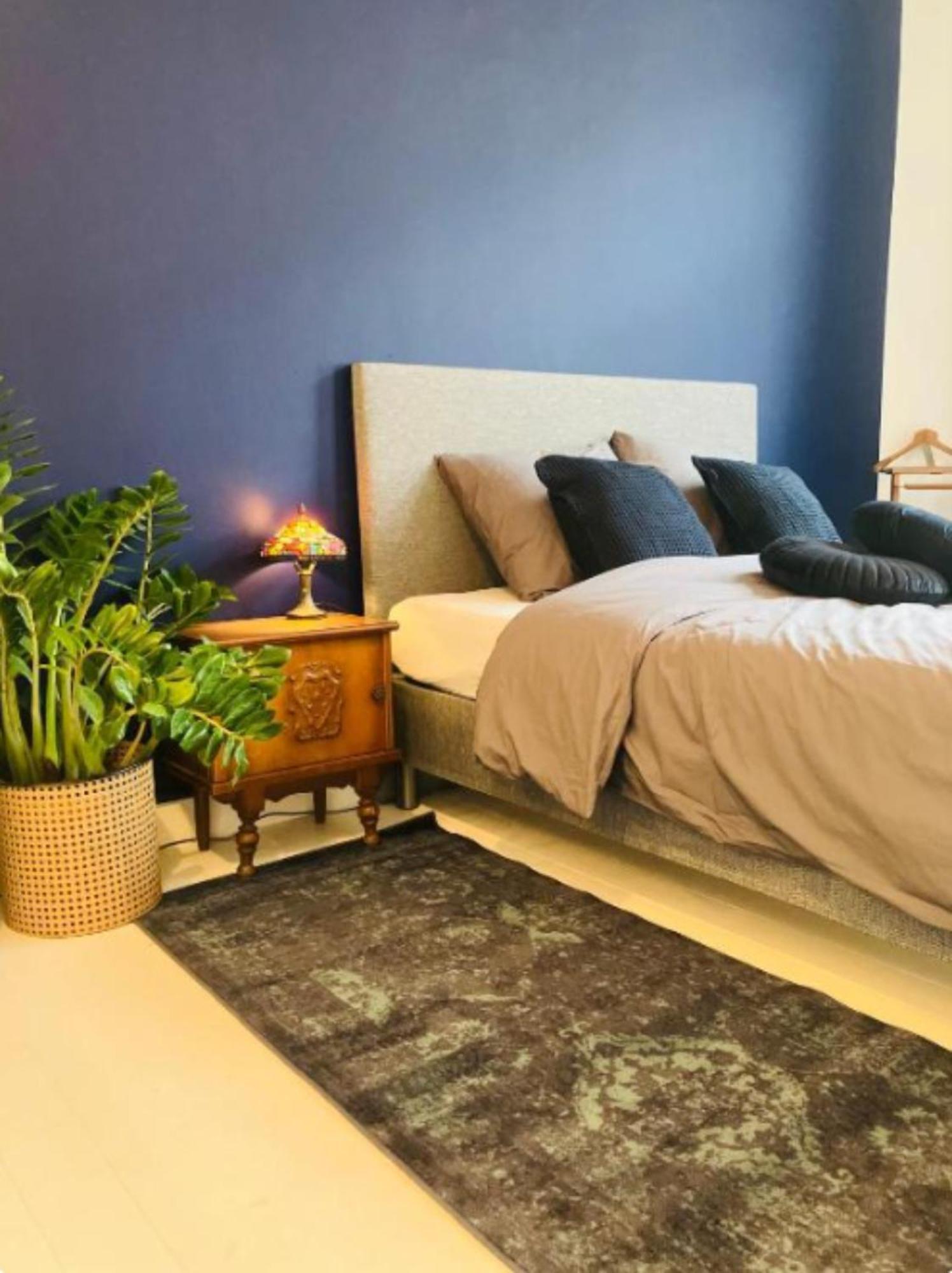 Bnb Suikernest Anvers Extérieur photo
