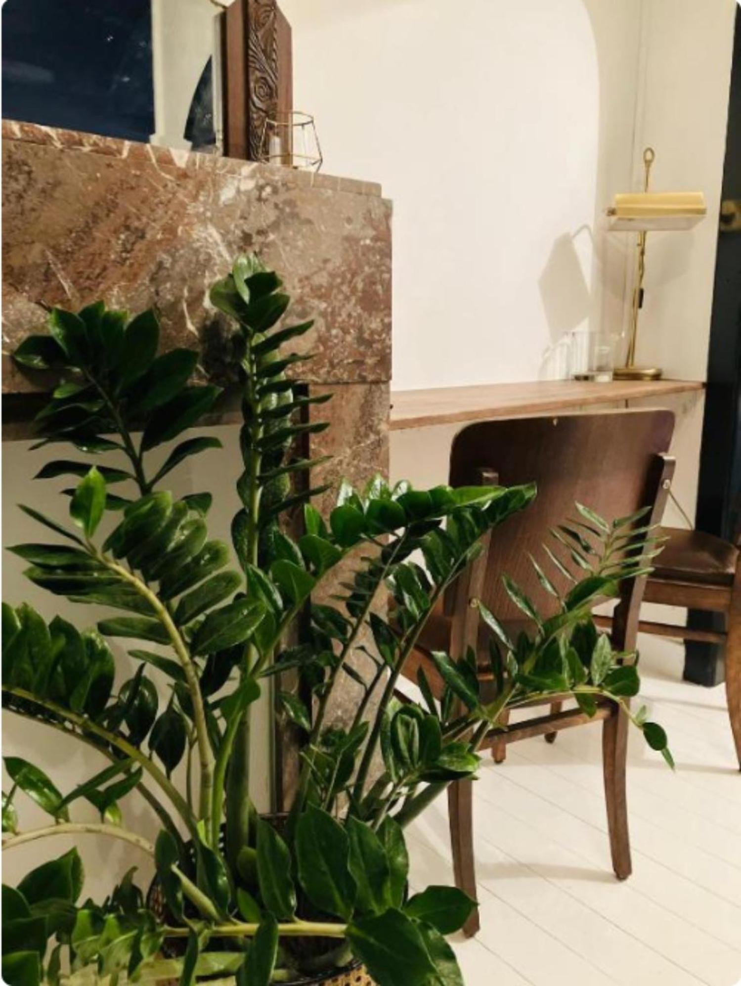 Bnb Suikernest Anvers Extérieur photo
